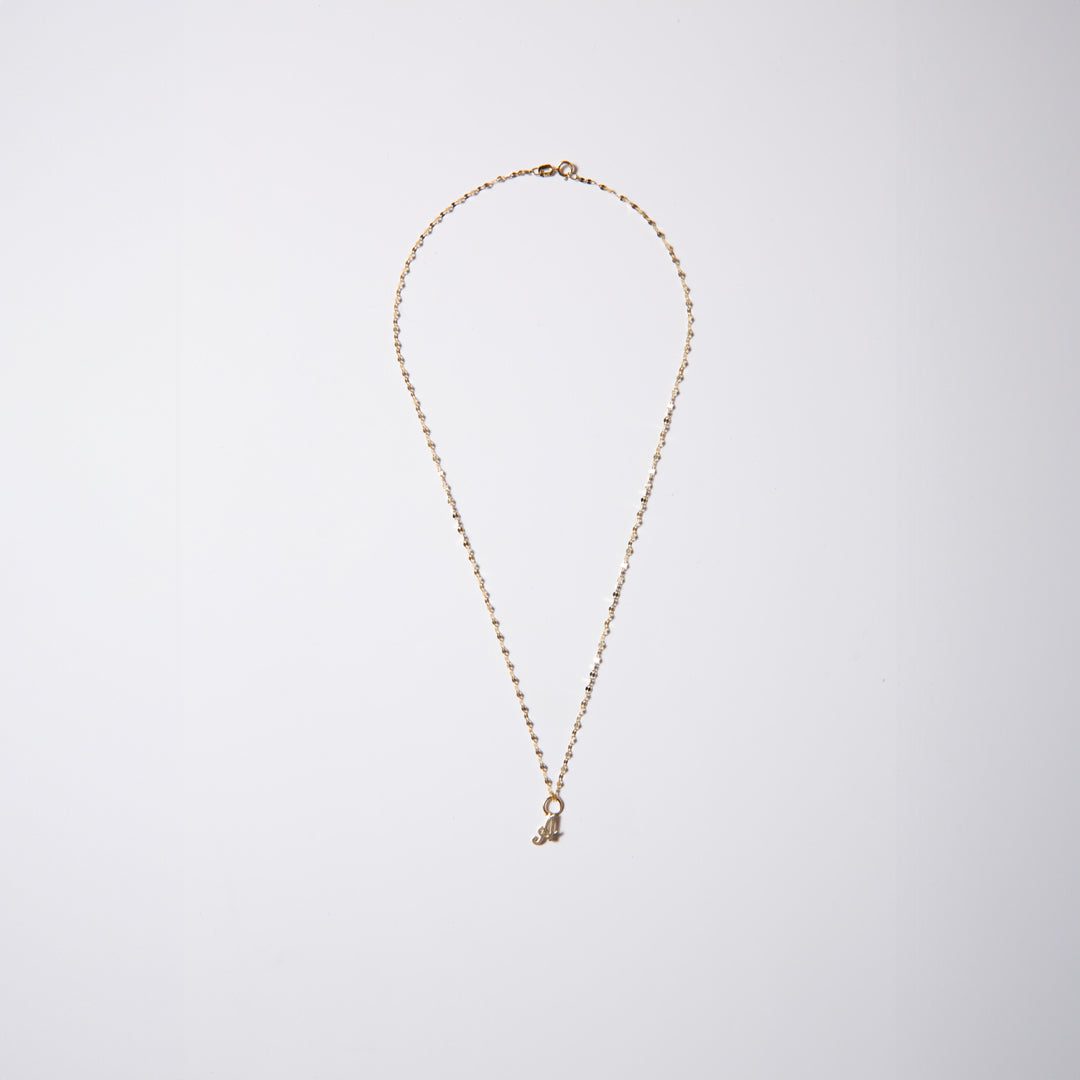 14k Gold Mini Initial Twinkle Necklace (chain & charm)