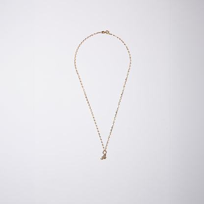 14k Gold Mini Initial Twinkle Necklace (chain & charm)