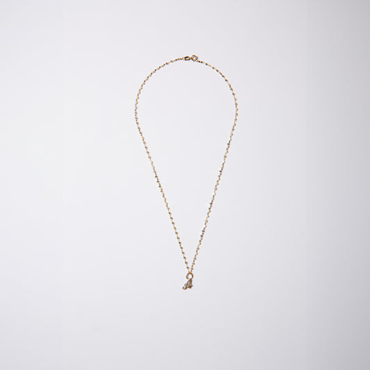 14k Gold Mini Initial Twinkle Necklace (chain & charm)