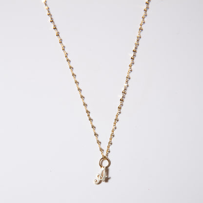 14k Gold Mini Initial Twinkle Necklace (chain & charm)