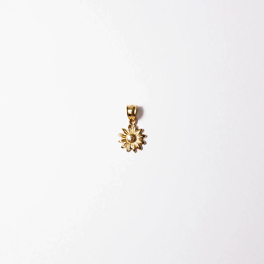 14k Gold Happy Daisy Charm