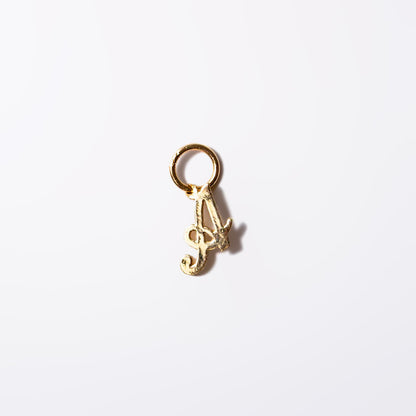 14k Gold Mini Initial Twinkle Necklace (chain & charm)