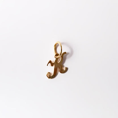 14k Gold Mini Initial Twinkle Necklace (chain & charm)